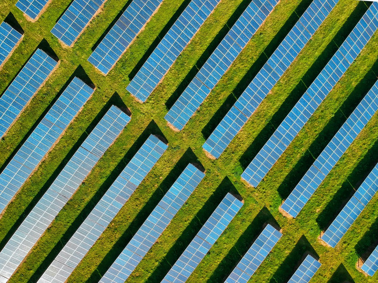 Zonnepanelen veld
