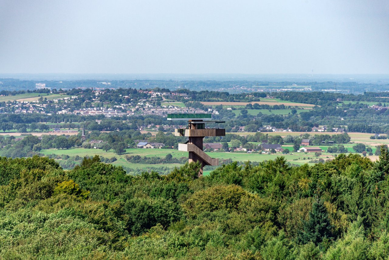Vaals