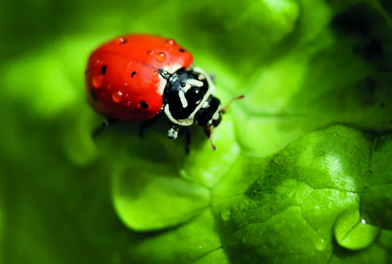 natuur inclusief