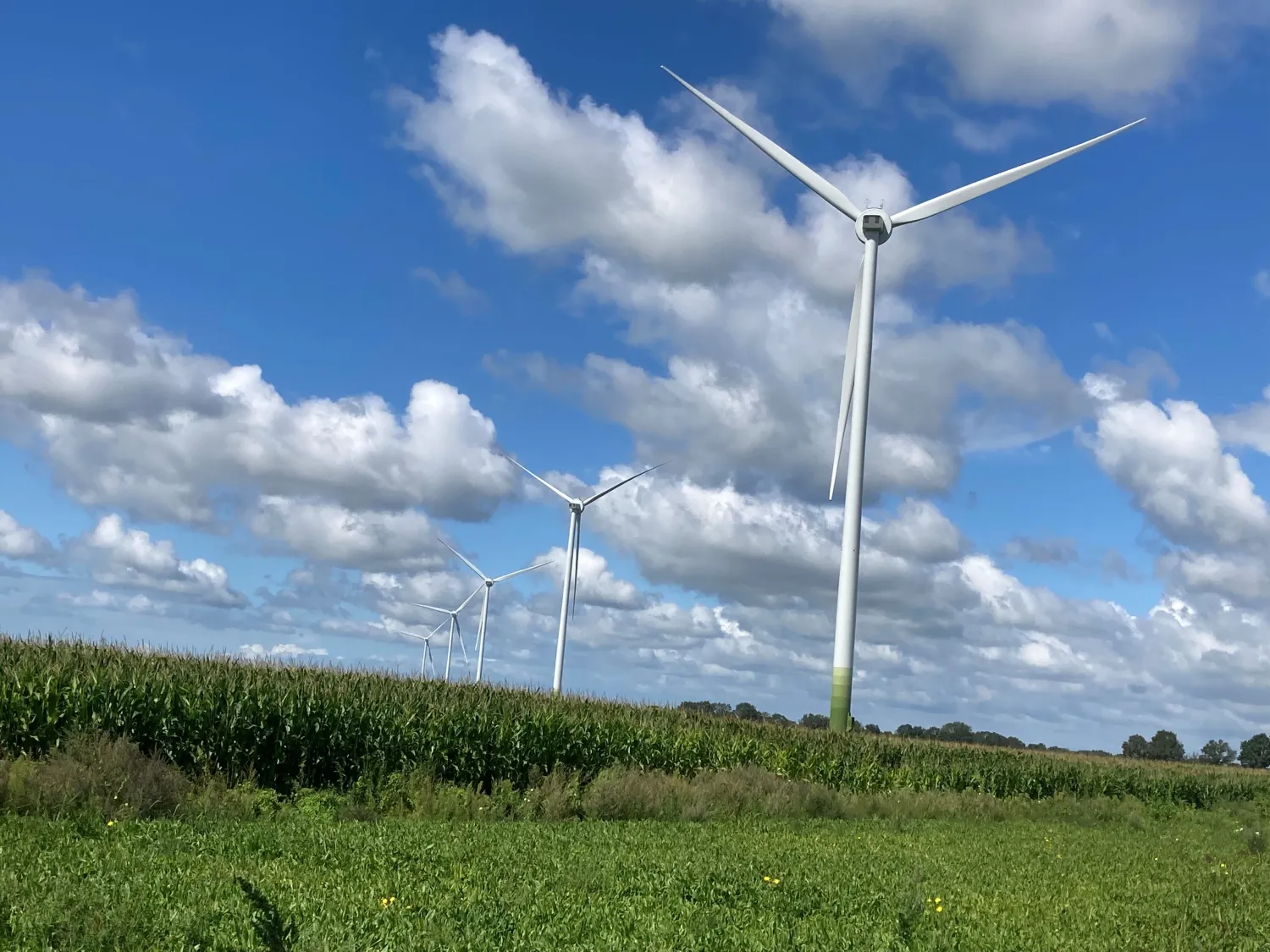 Windpark Egchelse Heide