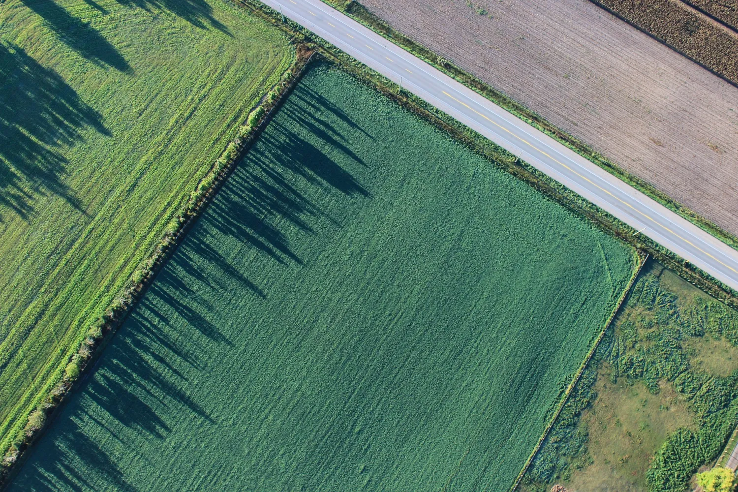 Agro omgeving landschap weg
