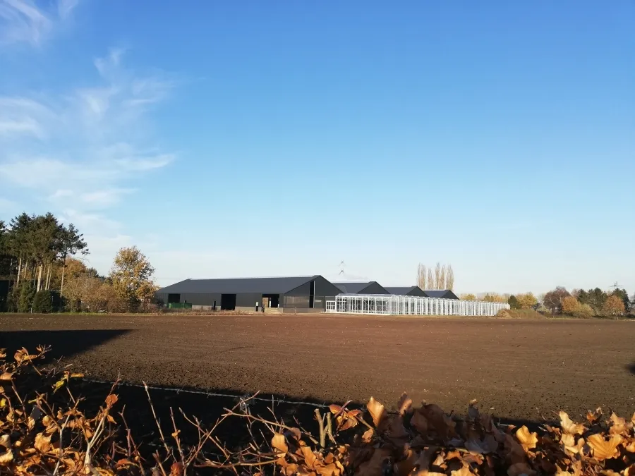 Bedrijfslocatie Lierop