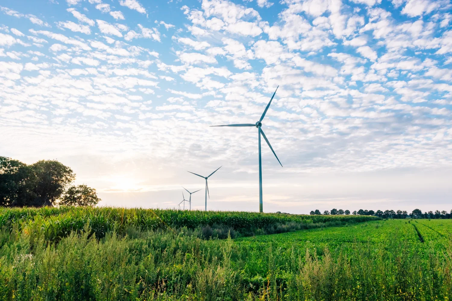Windpark Egchelse Heide