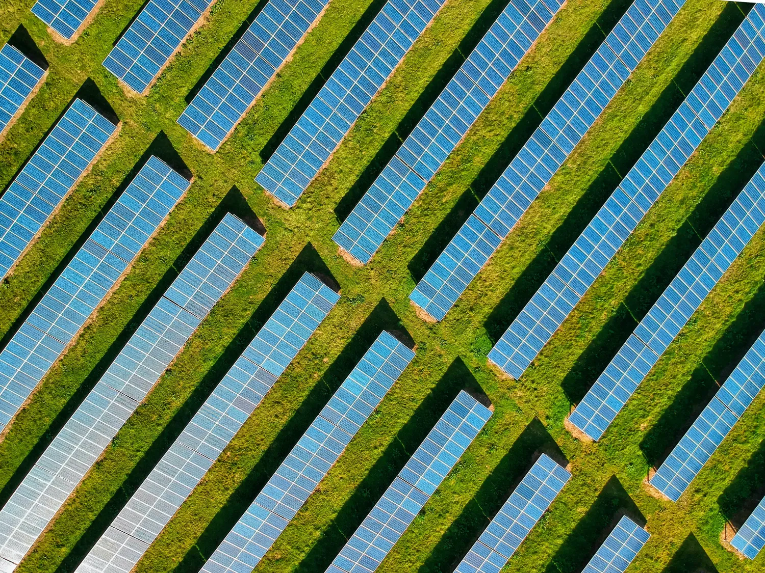 Zonnepanelen