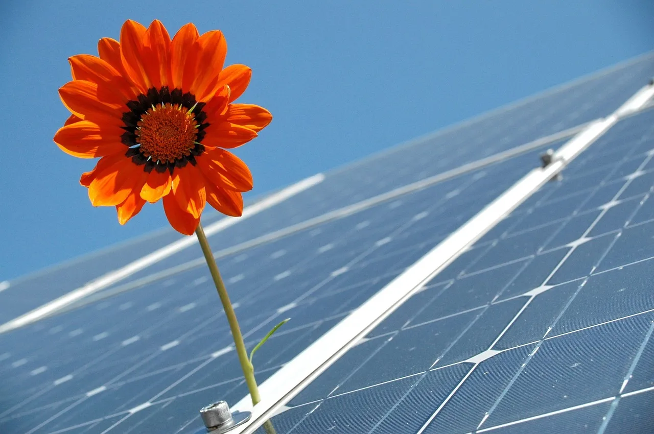 Zonnepanelen