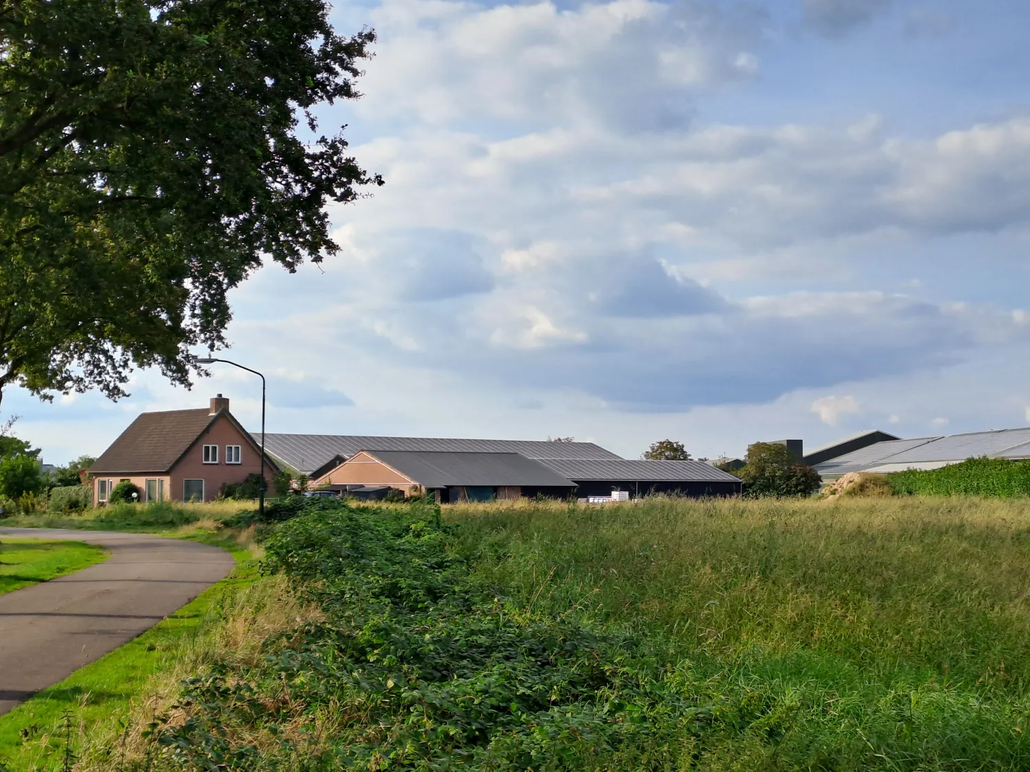 Bedrijfstransitie