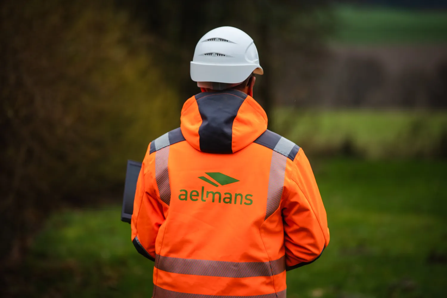 aelmans