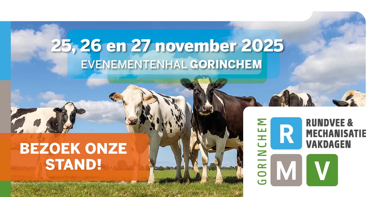 RMV 2025