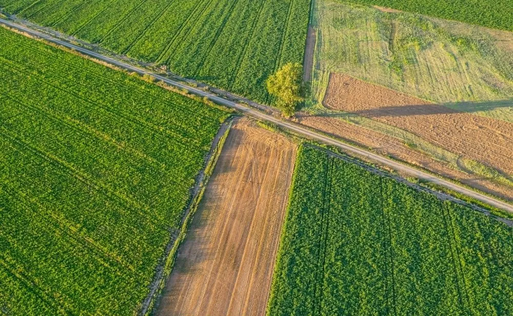 Gecombineerde opgave 2026