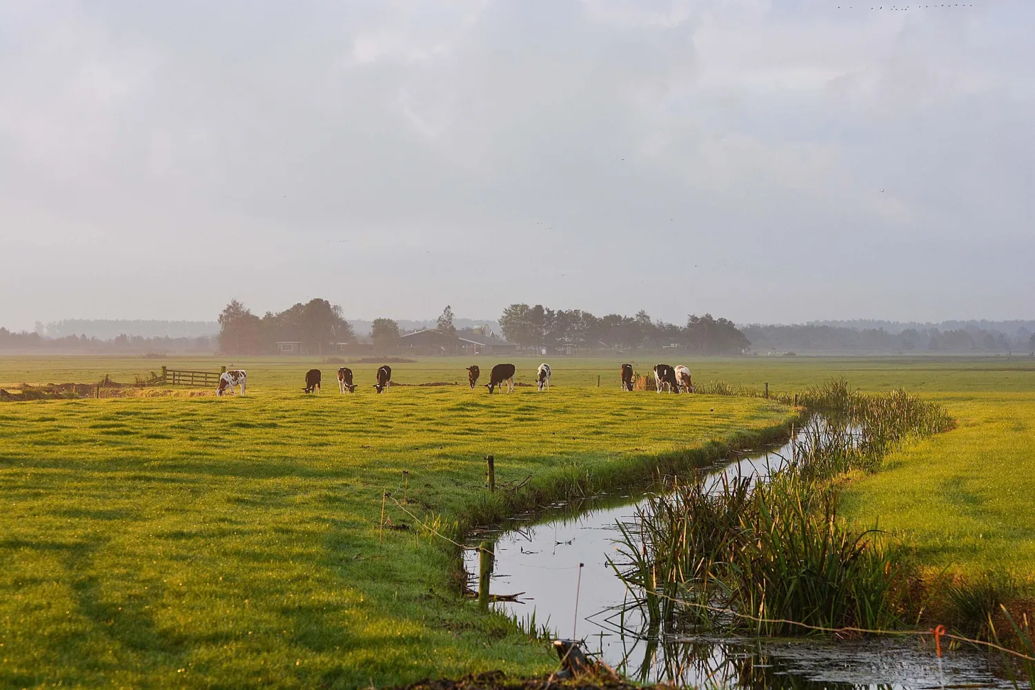 waterbeheer