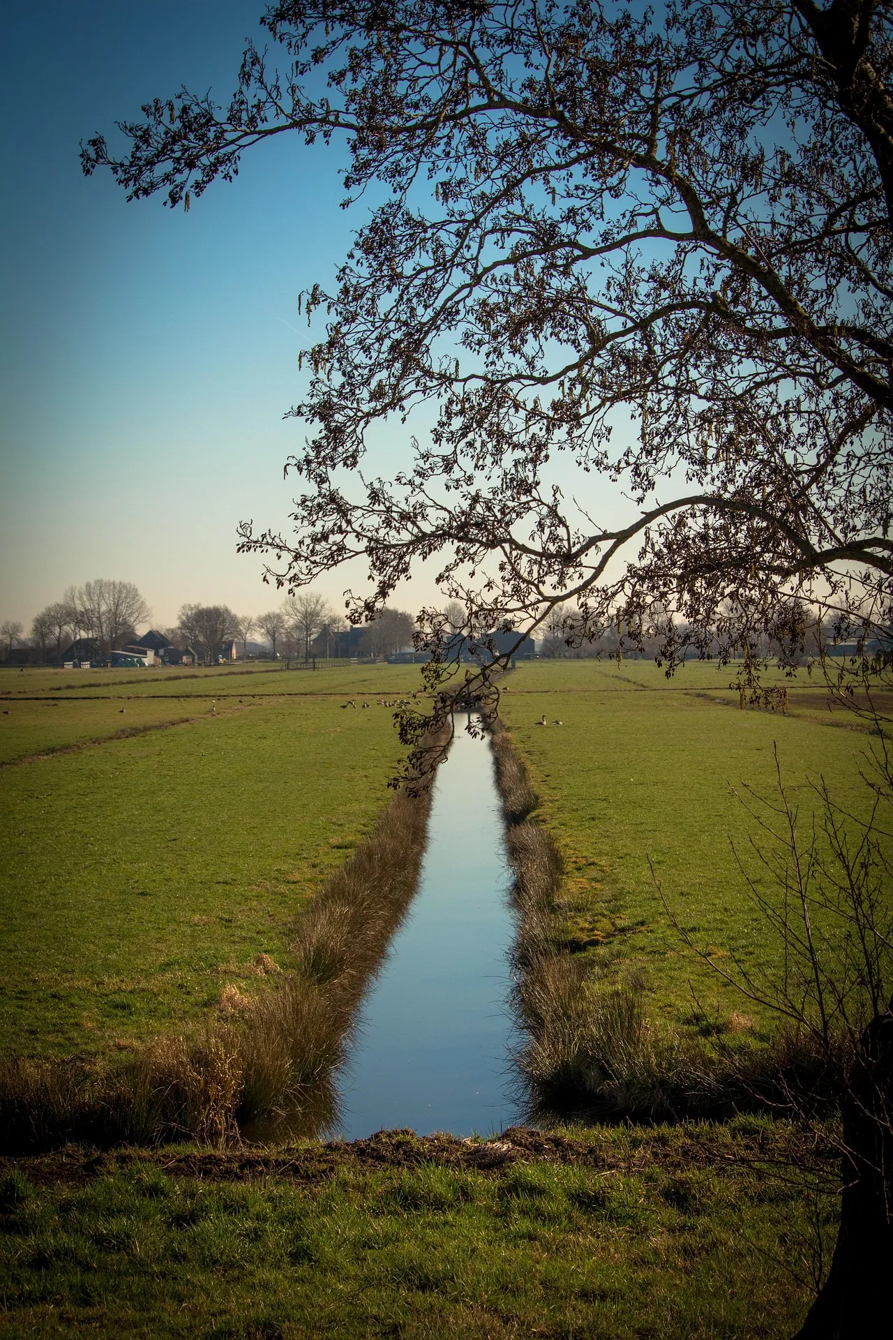 Agro grond
