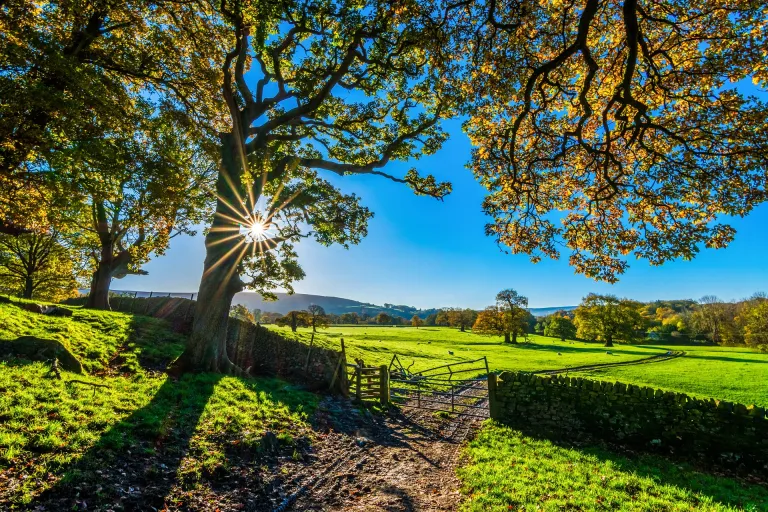 Landgoed