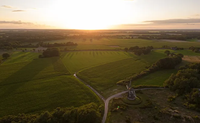 Platteland zonsopgang