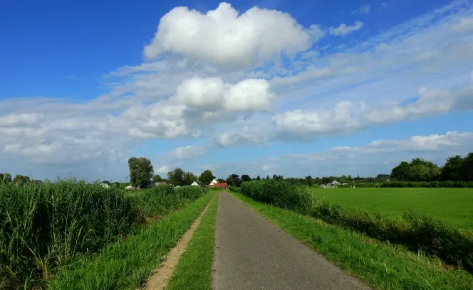 Landbouwpercelen met weg in midden