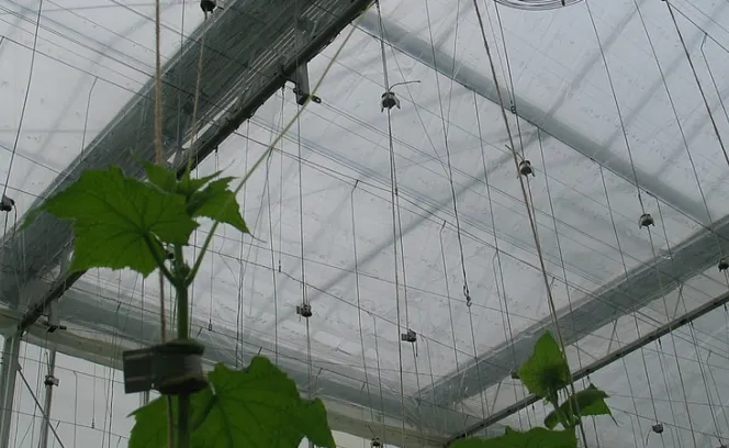 Tuinbouw scherm diffuus