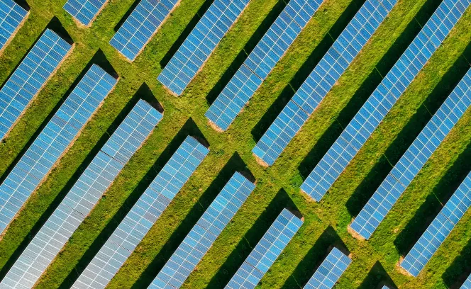 Zonnepanelen veld