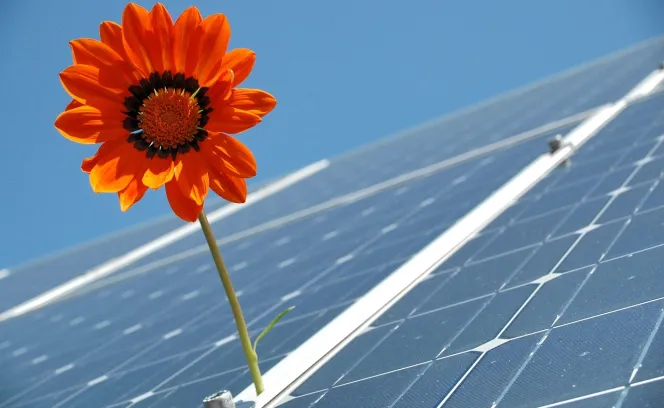 Zonnepanelen