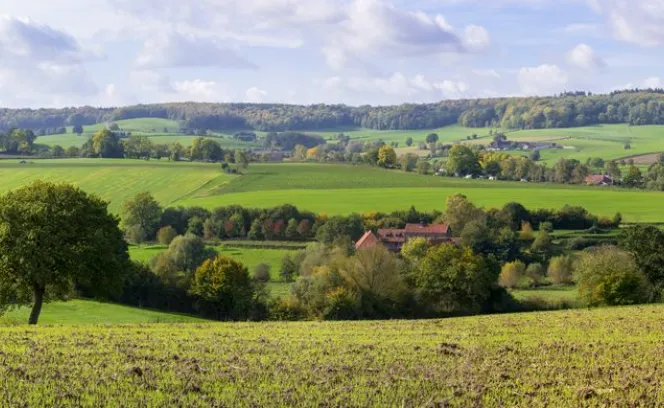 Landschap