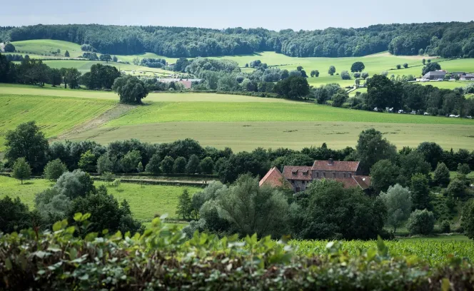 Landschap Limburg