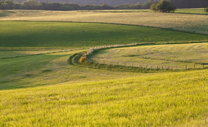 graslanden
