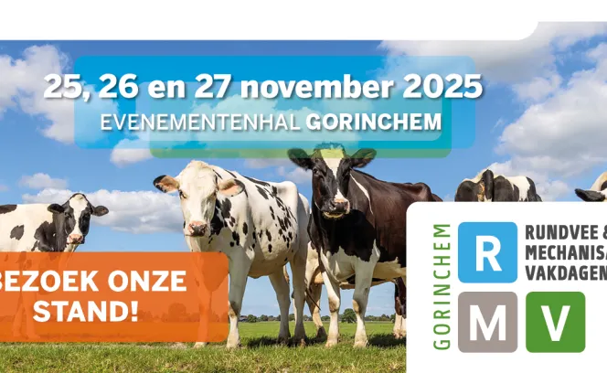 RMV 2025