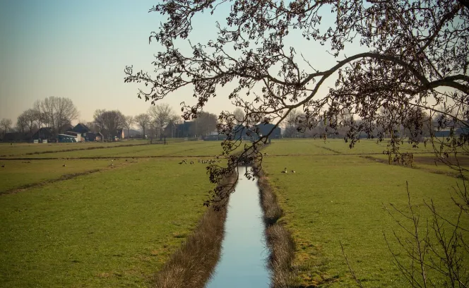 Agro grond