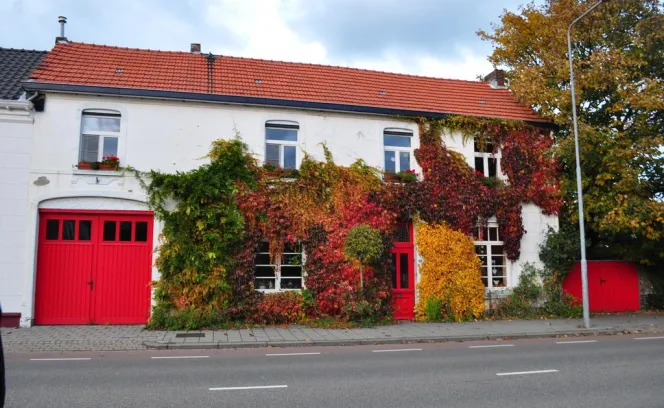 Klimmenderstraat 88