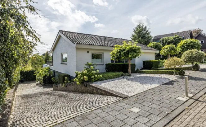 Koningsgraven 36
