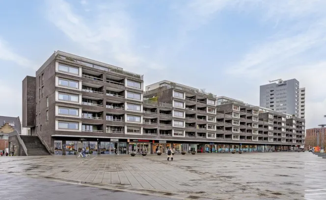 Plein 1992 69D