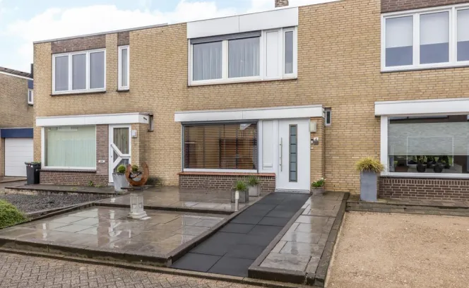 Korenbloem 4