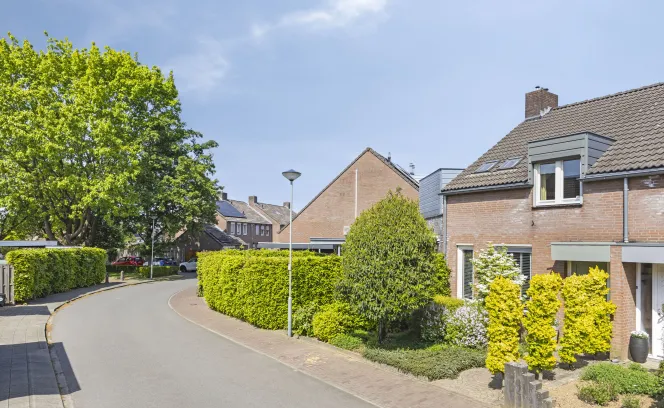 In de Molt 99