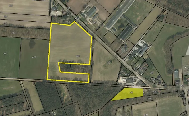 Koeldijk