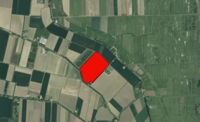 Boomdijk