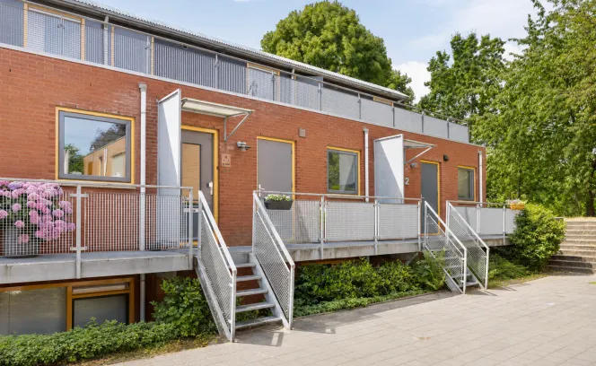 Hanedoorn 4