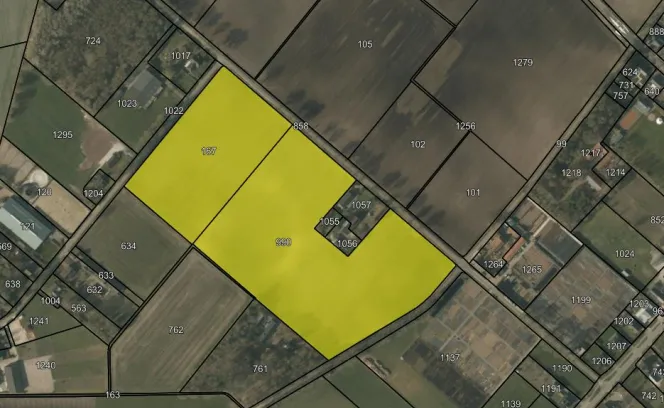 Ontginningsdijk