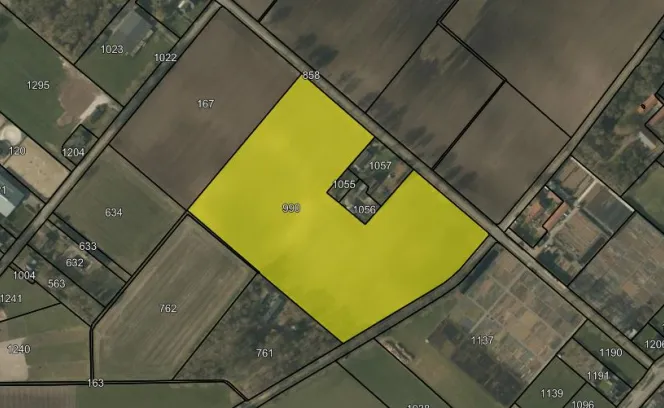 Ontginningsdijk