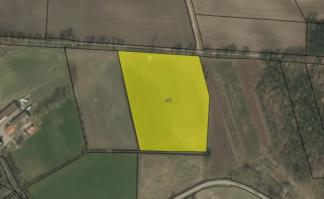 Koeldijk